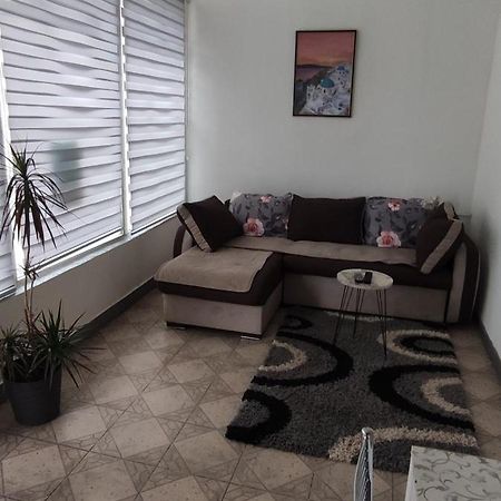 Apartman Jasna, 皮罗特 外观 照片